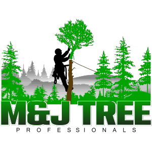 M&J Tree Professionals logo