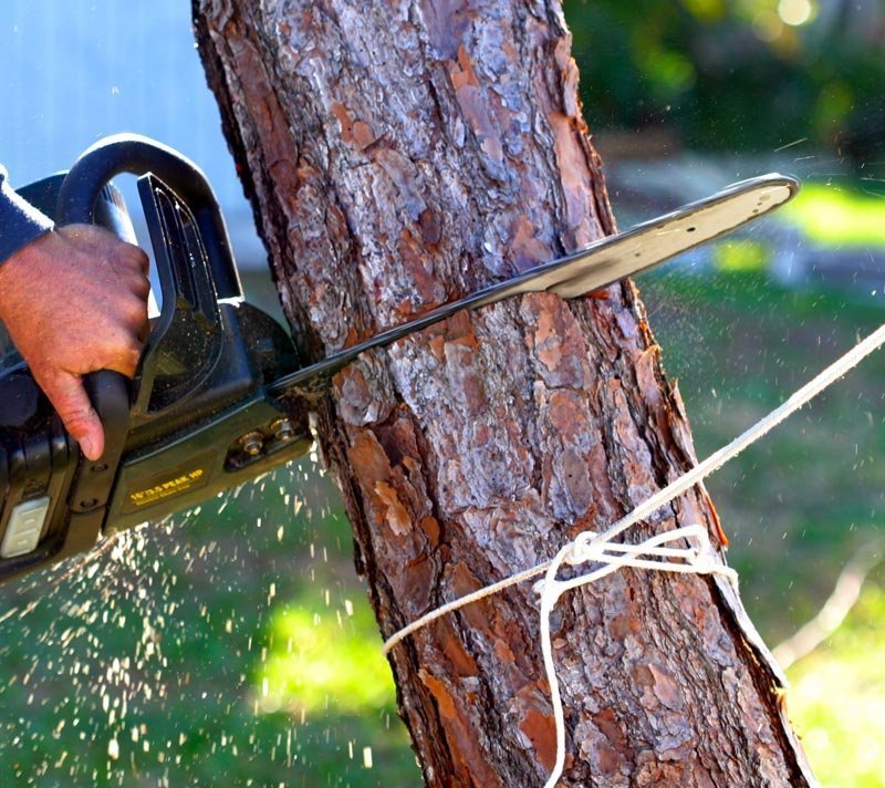 Precision chainsaw cut