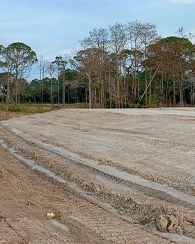 Lot Clearing detail