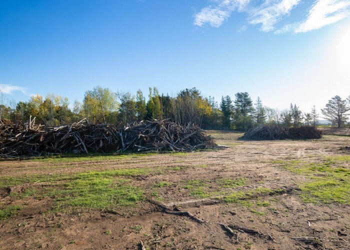 Lot Clearing