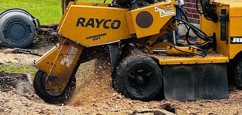 Stump Grinding