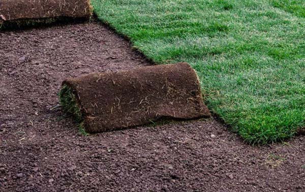 Landscaping & Sod